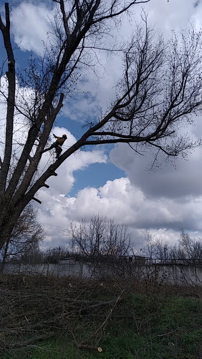 FalconFox10's tweet image. Люблю свою работу