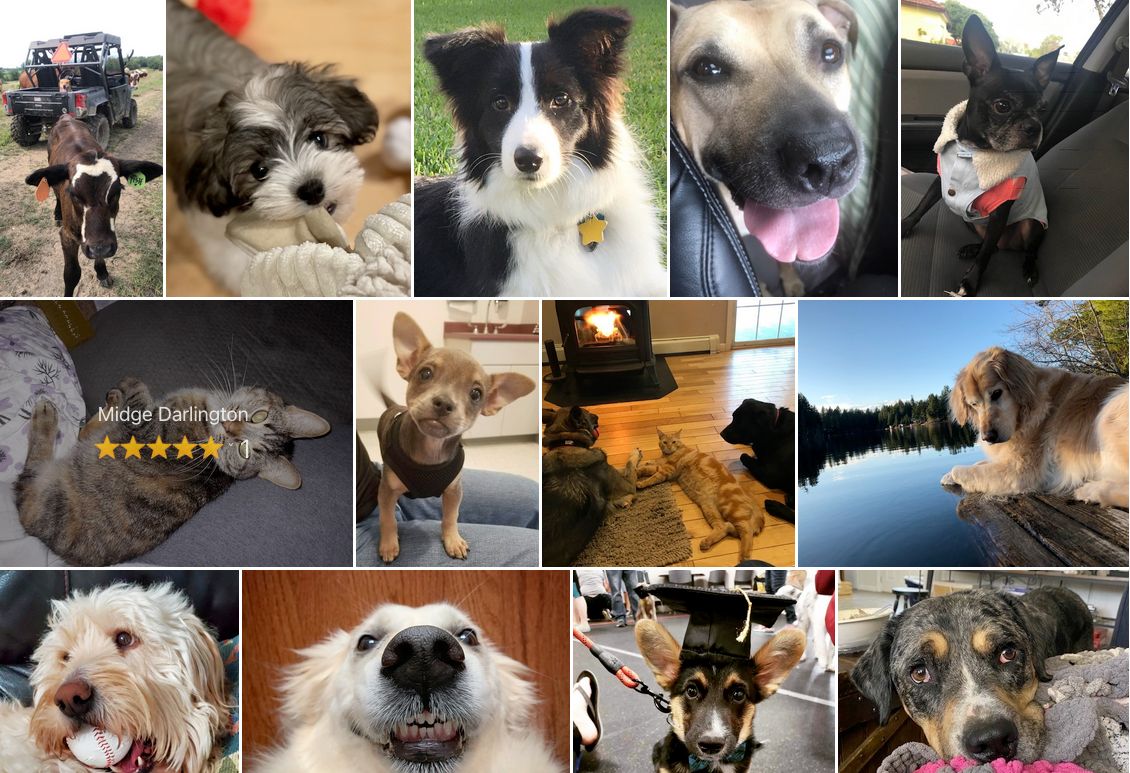 CynergisTek tweet media