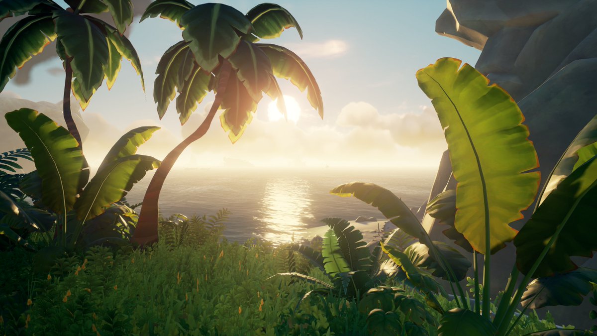 HappyKrakenX's tweet image. Sea of Thieves aesthetics😍💀🌴

#SeaOfThieves @SeaOfThieves