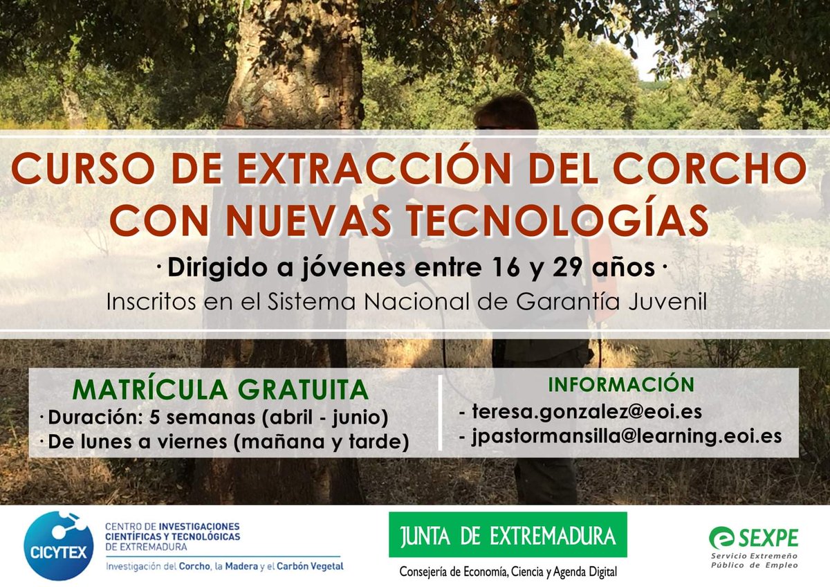 Ayuntamiento San Vicente de Alcántara tweet media