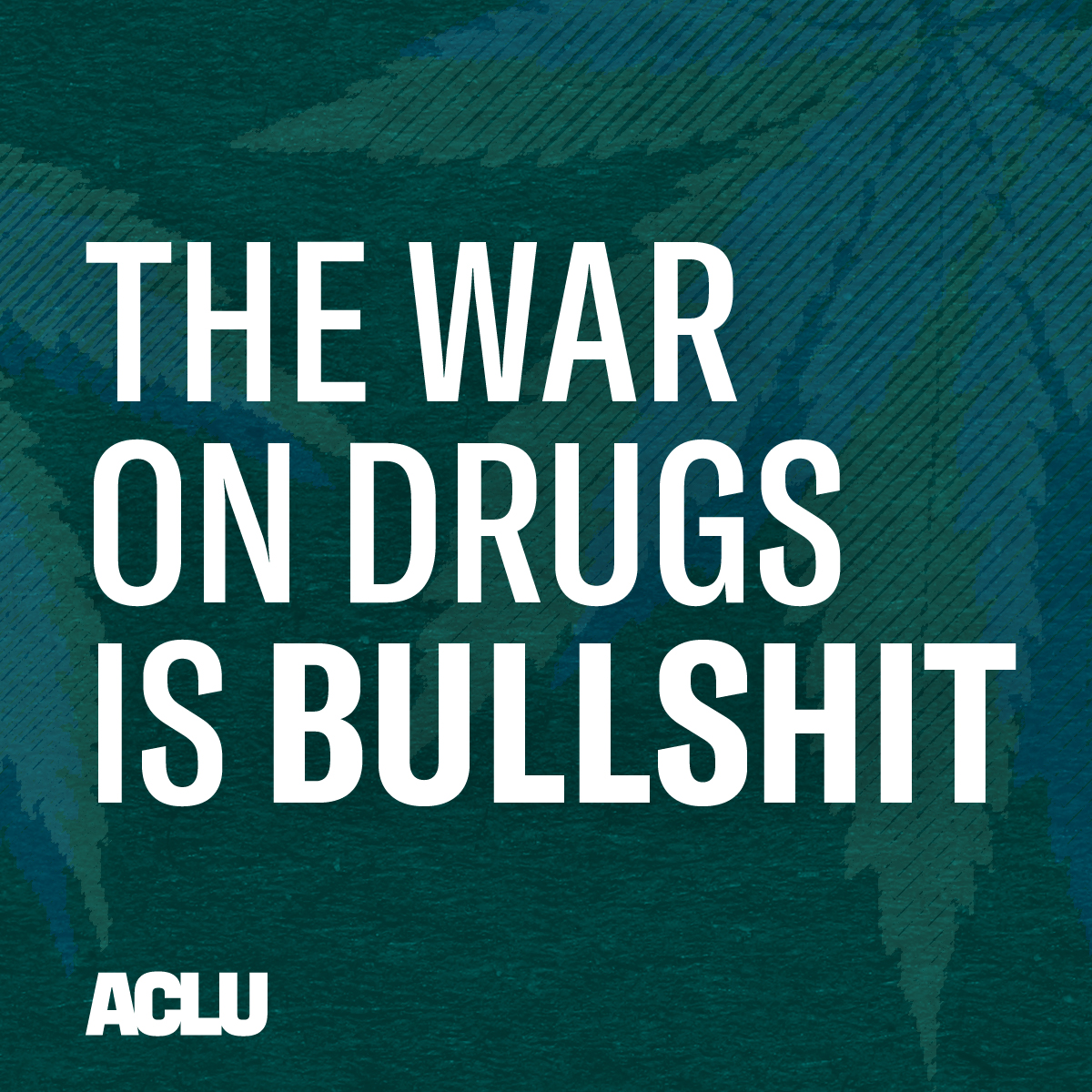Graphic that reads THE WAR ON DRUGS IS BULLSHIT in bold white letters on a dark green background that features marijuana leaves. 