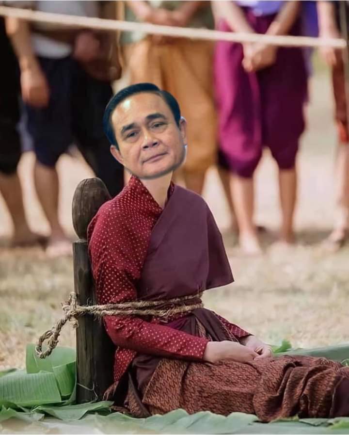 catแมว tweet media