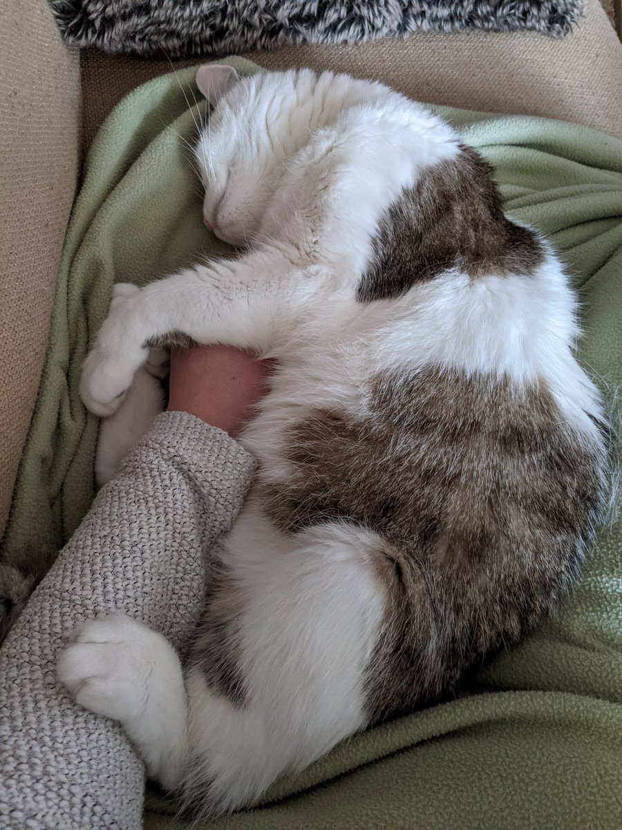 LBackyards's tweet photo. Nap time https://t.co/Jbg7l9VF39
