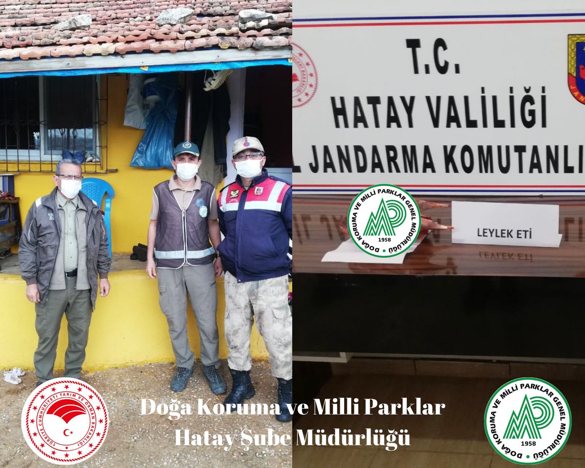 Hatay DKMP tweet media