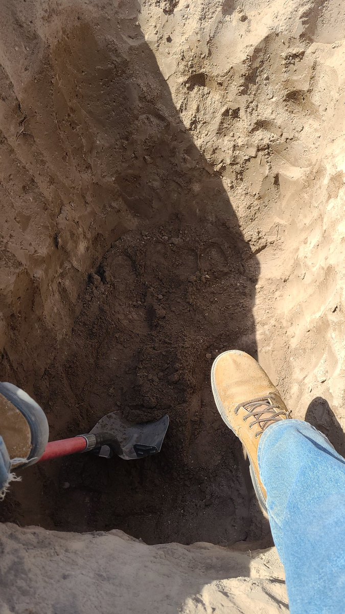 Anyway check out this cool hole I dug.