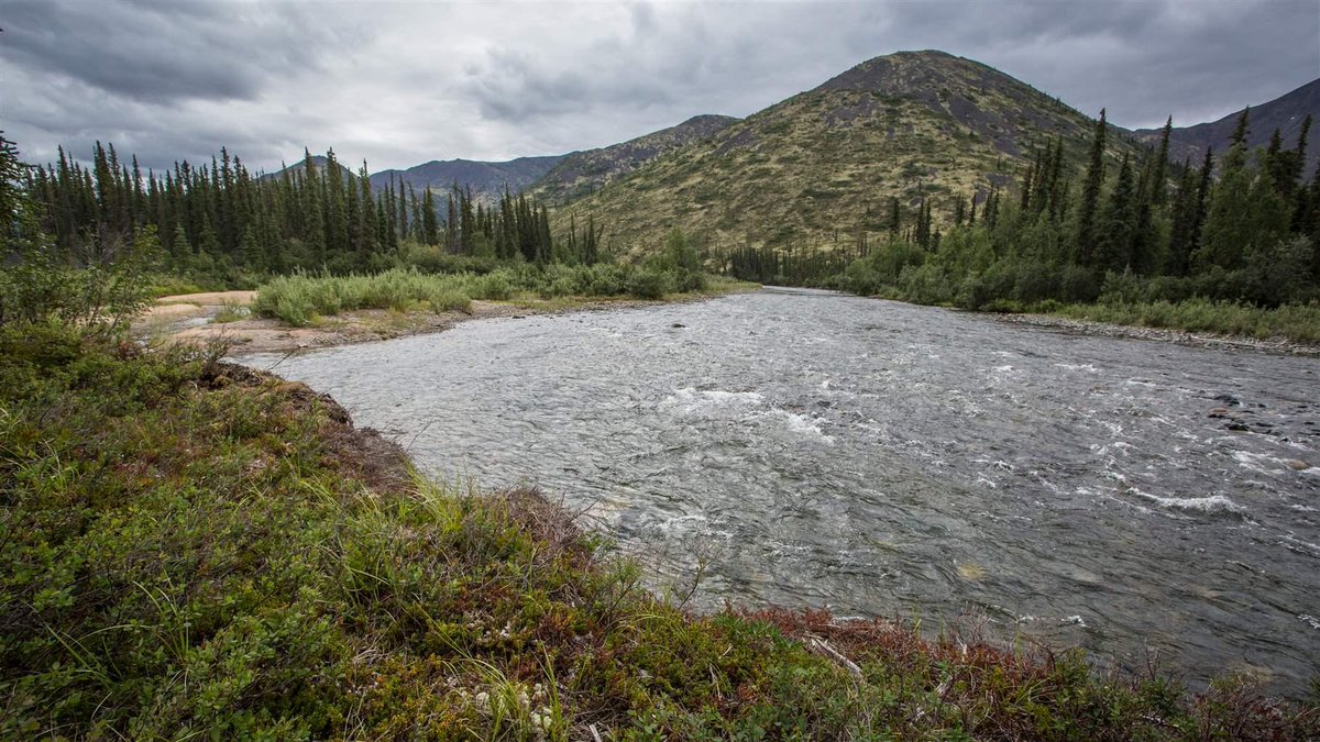 pewenvironment's tweet photo. “The [Biden] administration can help to sustain the ecological value of the Central Yukon and the traditional way of life.”

—our @ZannLittleAK on the opportunity to help protect Alaska’s public lands and the communities that call them home. #BLMWild https://t.co/rGT1YuH665 https://t.co/Q99kzSqqlf
