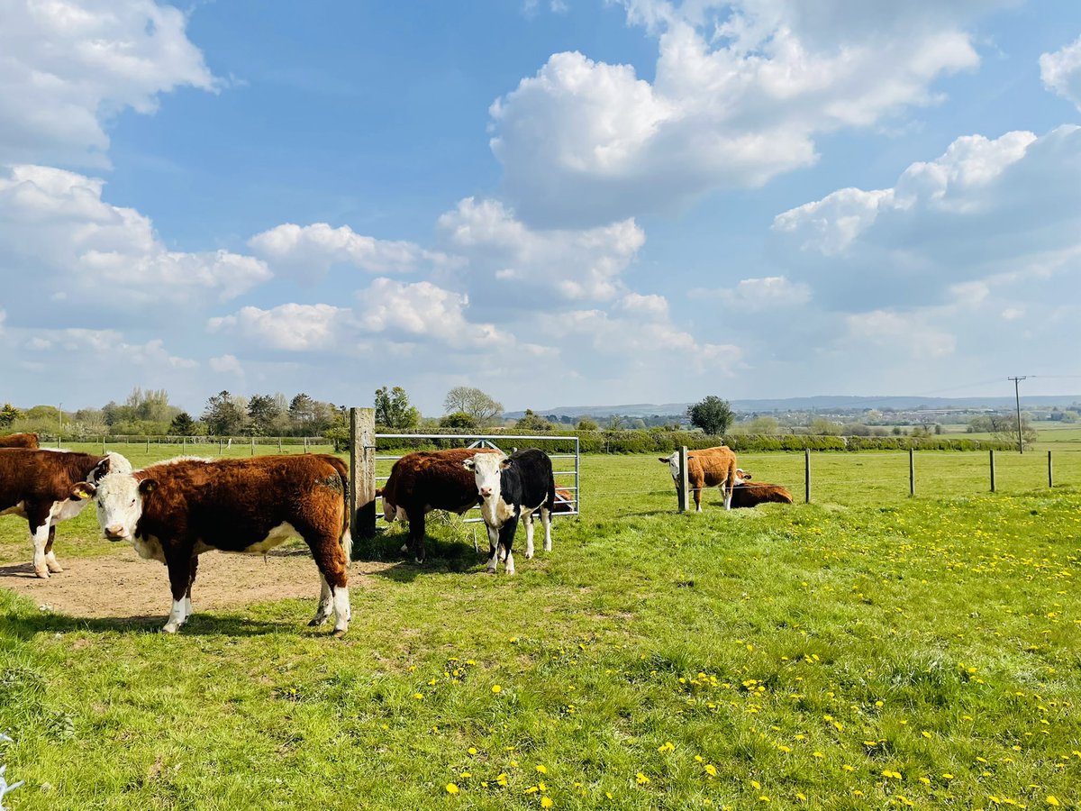We had some spectators during our PE lessons with <a href="/Futurestars10/">Future Stars</a> today!