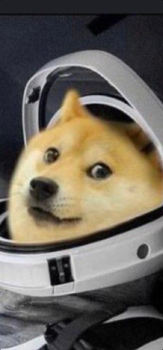 Leomachete2's tweet photo. @SpaceX @elonmusk We Ready capt https://t.co/I1cgRpNLSc