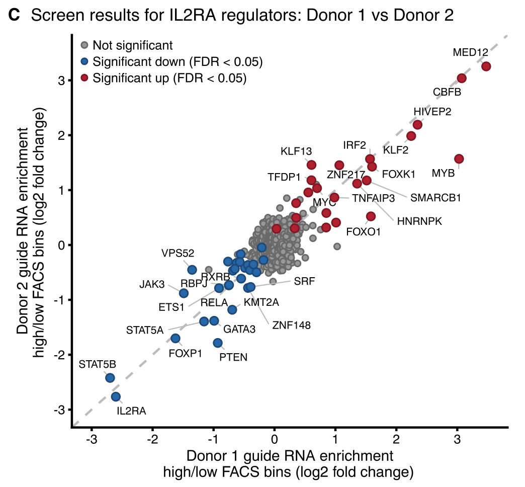 Starting from IL2RA, IL-2, and CTLA4, they performed CRISPR-screening to identify upstream regulators in primary CD4+ T cells. Results were extremely clean and reproducible -- shown here comparing 2 donors for IL2RA: