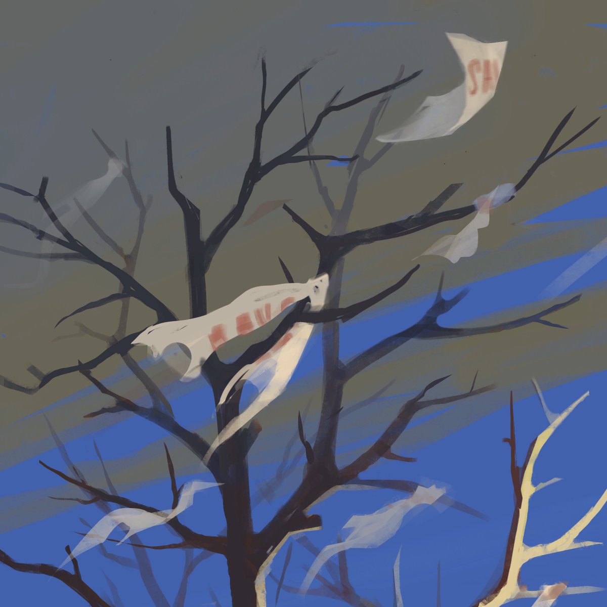 Деревья в моем дворе