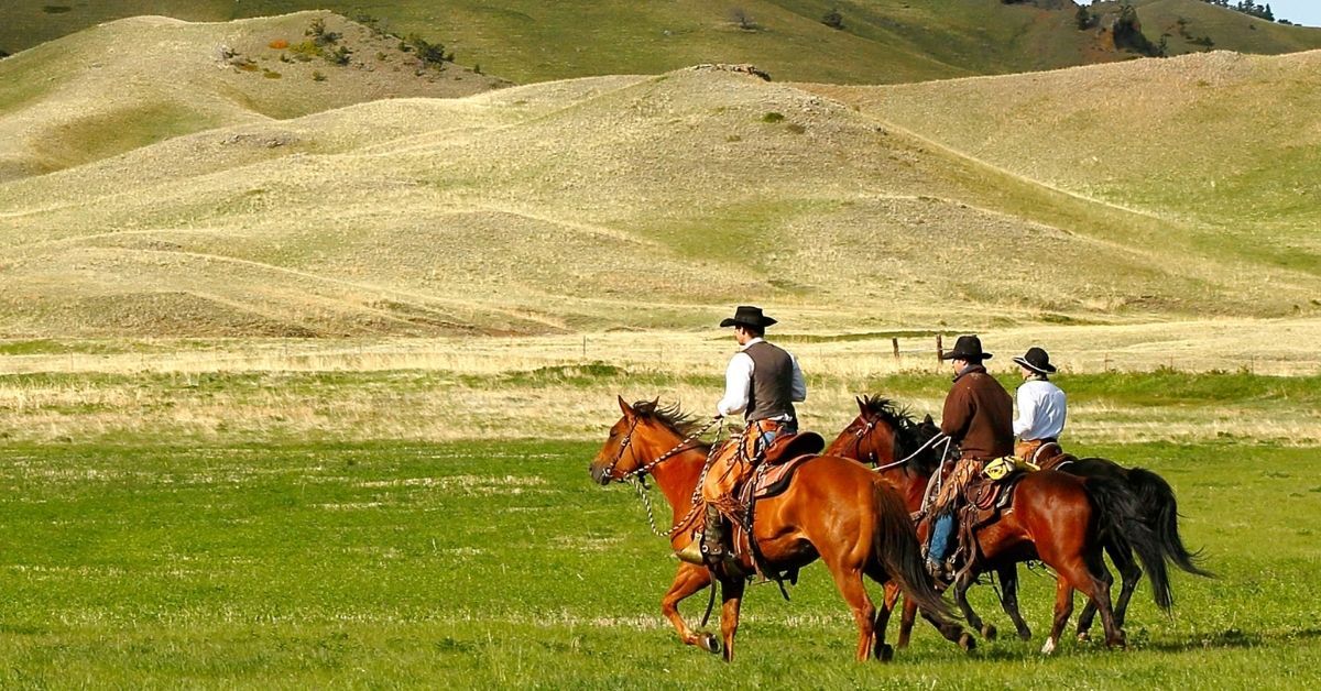 AlColombo2's tweet image. Central Montana Offers Authentically Western Adventure | #WMD #Cowboys #Indians #Cowgirls | Extraordinary memories begin with pristine wilderness areas, horseback riding and ranch vacations hosted by real cowboys and cowgirls. buff.ly/3x5ATkh