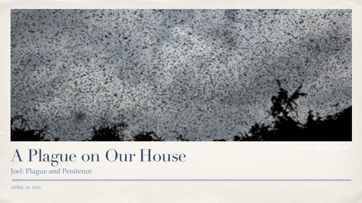 We have begun a new series on Joel. Listen or watch the first sermon "A Plague on Our House" by Rev. Connan Kublik on our website. 

newcityhamilton.com/sermons/joel-1…