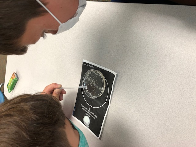 Brinchekscience's tweet photo. The SHAD eggs are here and we are rocking and rolling sorting dead/alive, checking water quality, and learning more about their life cycle! @naturalsciences @WCPSSElemScie #authenticlearning #shadintheclassroom #STEM #CitSci #Conservation https://t.co/iCjUtdvj3l