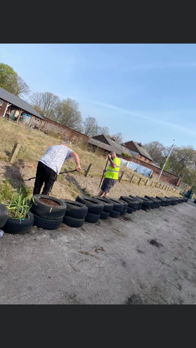 flourish_cic's tweet photo. The @flourish_cic community Men’s mental health and  wellbeing outdoors Allotment project @EdiblesKnowsley today 👌🐝💚 #MentalHealthMatters #SuicidePrevention @vinty68 @Knowsley_Leader @cllrsdonnelly #communityinvolvement https://t.co/AlVcmbm5yC