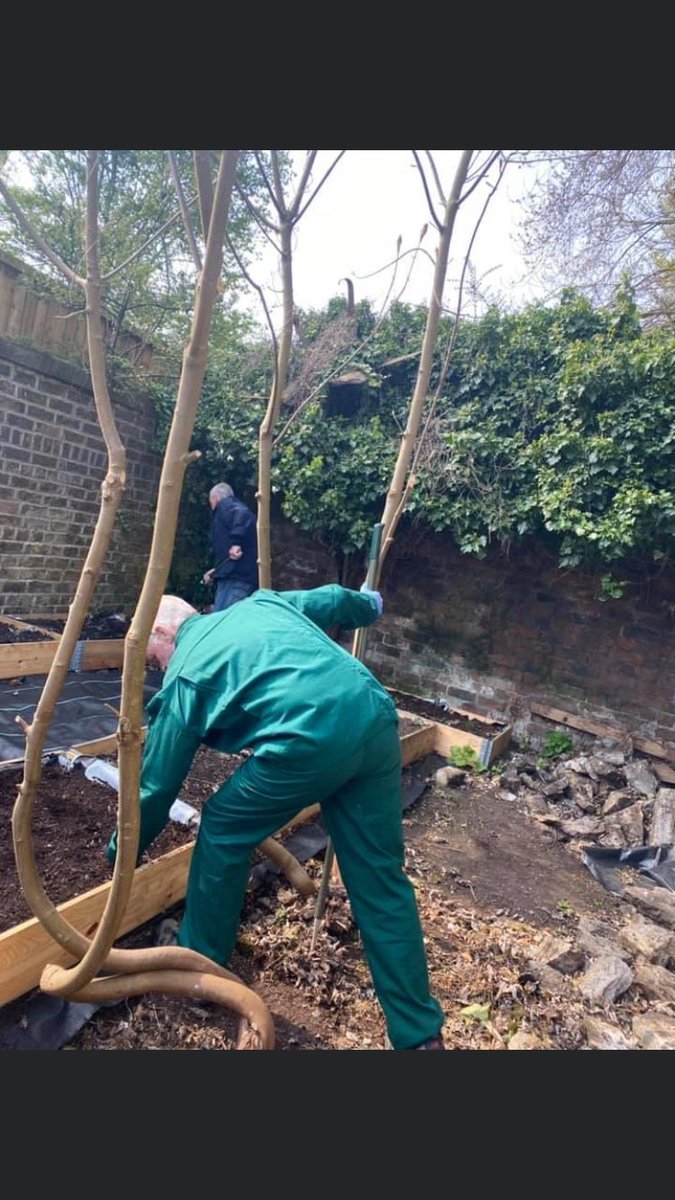 flourish_cic's tweet photo. The @flourish_cic community Men’s mental health and  wellbeing outdoors Allotment project @EdiblesKnowsley today 👌🐝💚 #MentalHealthMatters #SuicidePrevention @vinty68 @Knowsley_Leader @cllrsdonnelly #communityinvolvement https://t.co/AlVcmbm5yC