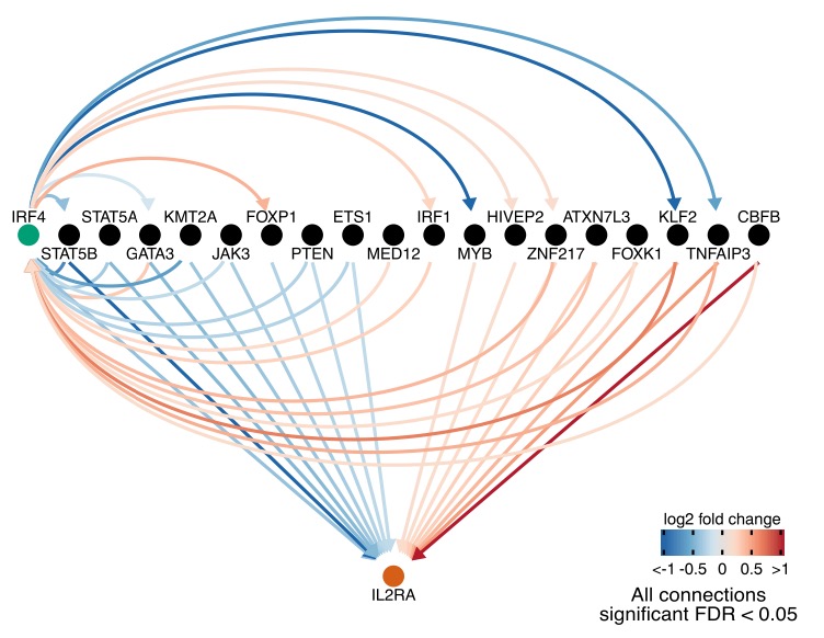 One striking observation is the high prevalence of feedback loops within the set of regulators: for example between IRF4 and other regulators of IL2RA