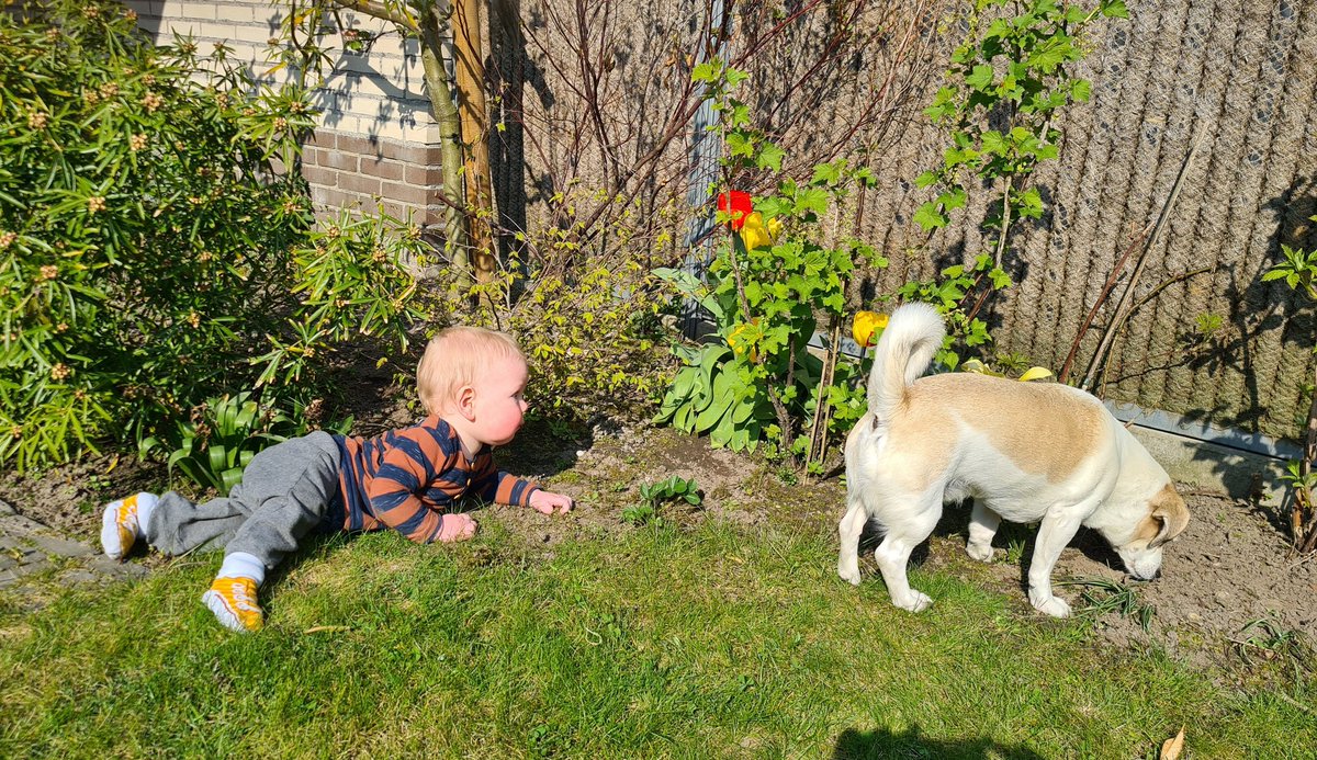 Samen struinen door de tuin 😊🌷 #natuurdichtbij #lente #maatjes #simonenferry