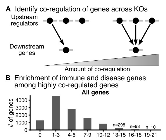 Next, Jake hypothesized that other *downstream* genes that are affected by KO of IL2RA regulators might also be enriched for immune functions. For every expressed gene we can ask how many KOs affect its expression (0 to max possible 24):