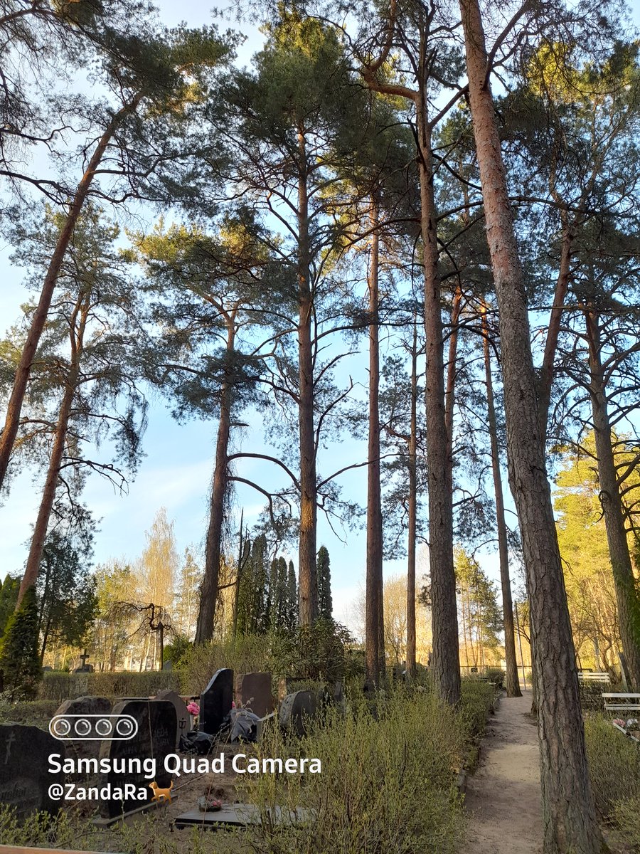 RudensLapaVeeja's tweet image. Pastaigai draudzīga vieta, kur vakarā satikt rajona maniaku, iedzert kapiju piemineklīšu fonā. #pļavniekukapi