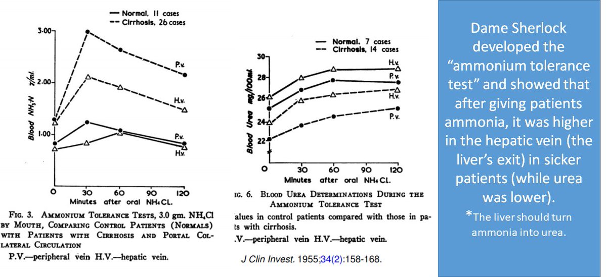 Elliot Tapper 8 Can We Treat He By Cleaning The Blood With Healthy Liver Step One In 1958 Otto Created Eck Fistulas Connect The Smv Ivc In Dogs He Then Hooked