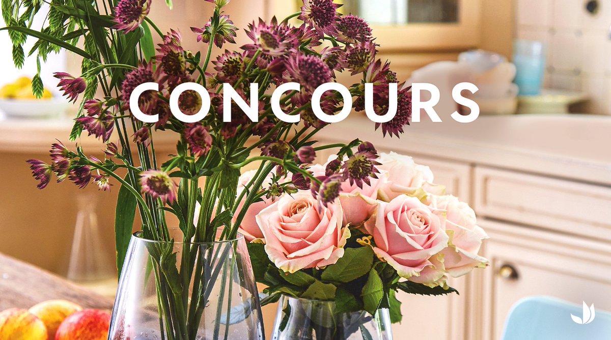Truffaut's tweet photo. Aujourd'hui on ne fait pas dans la dentelle, notre spécialité c'est plutôt les plantes ! On en profite pour vous proposer de participer à notre jeu #concours pour gagner une de nos 3 cartes cadeaux de 50€ 🌿

👉 Pour participer :
RT+Follow @Truffaut 
TAS : 28/04
Bonne chance !🤞 https://t.co/lRP1vHpsNP