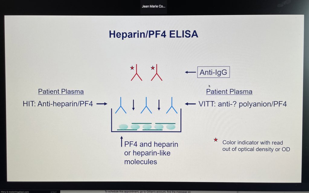 Do you find yourself learning a lot about anti-PF4 ELISA tests recently?  @connors_md doing a great job breaking it down so we all can understand how this applies to VITT!  @CDCgov