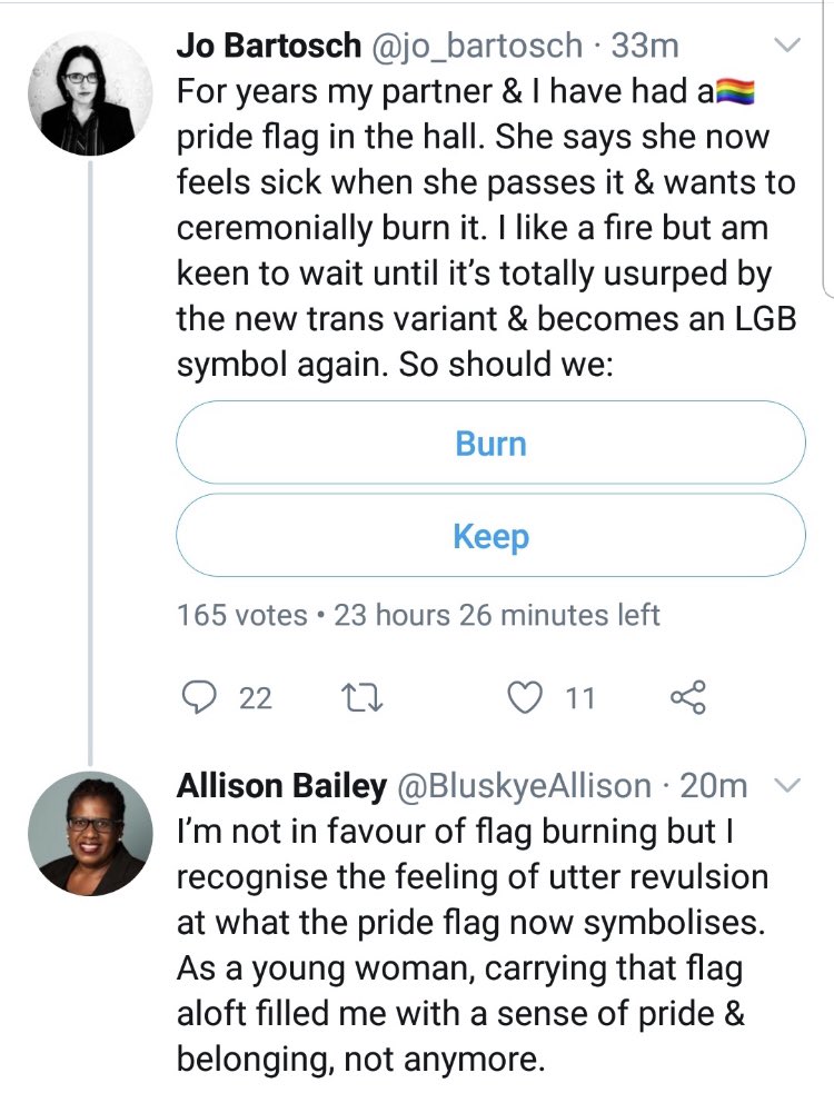 Here is an LGB Alliance leader, admitting to hating the gay pride flag.