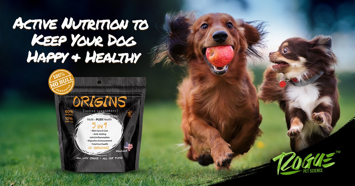 RoguePetScience's tweet image. Origins Canine 5in1 adds the nutrition dogs need that is lacking from commercial dog food diets.  It's all-natural, minimally processed, and is easy to all dog food.  Read more: ow.ly/QQ1e50EtBNk

#activenutritionfordogs #naturalpetsupplements #origins5in1