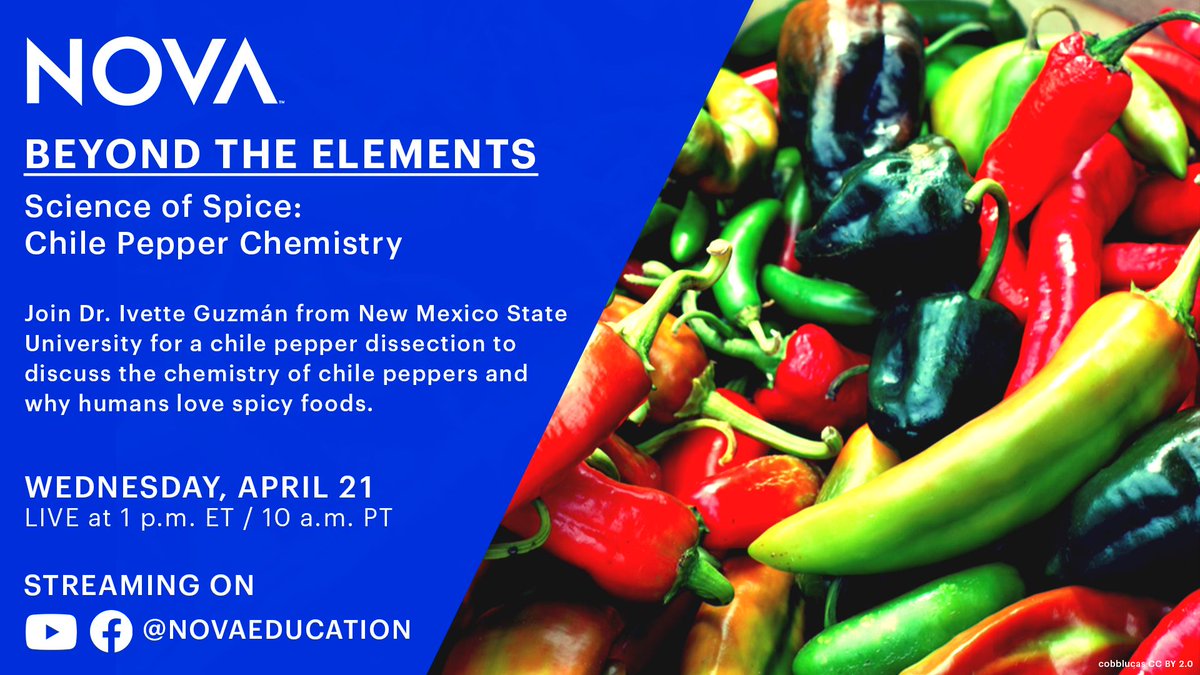 NOVAeducation's tweet photo. TOMORROW: Join Dr. Ivette Guzmán on our next virtual field trip for a chile pepper dissection to discuss the #chemistry of #chiles and why we love spicy foods.
Register for field trip: https://t.co/RslBAFz6iw https://t.co/miKqnOMk3x