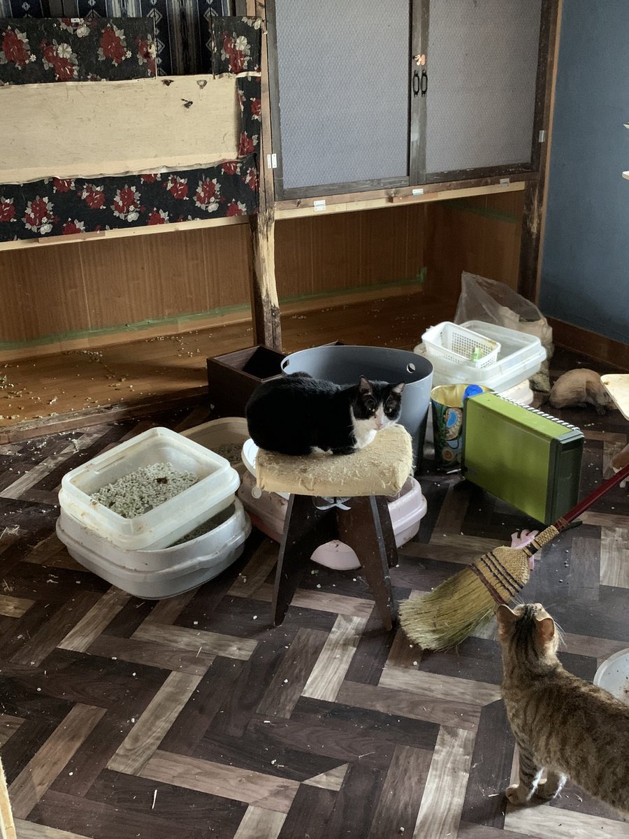 Hiromi Goubaraグラビューハート Grabeauheart Twitter