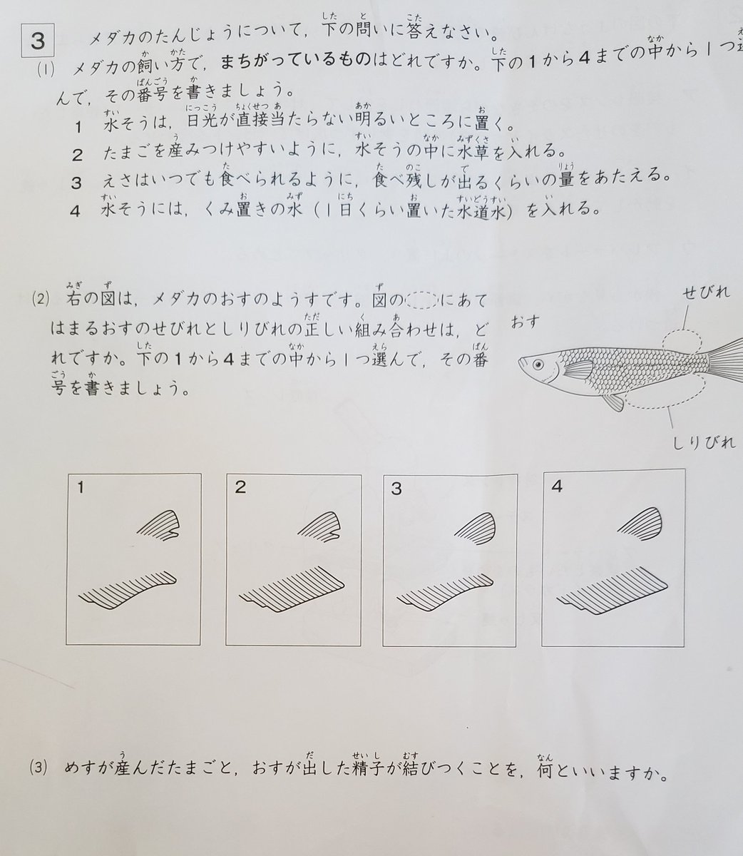 遊戯王メダカ 26tahoxoxkkwjqd Twitter 遊戯王メダカ 26tahoxoxkkwjqd Twitter