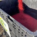 Image for the Tweet beginning: ‘Tis the season. @ChannelSeed 4320RXF