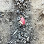 Image for the Tweet beginning: ‘Tis the season. @ChannelSeed 4320RXF