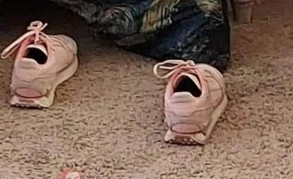 Ananya335's tweet photo. I am feeling whatever these shoes are feeling https://t.co/oU0brLW6qd