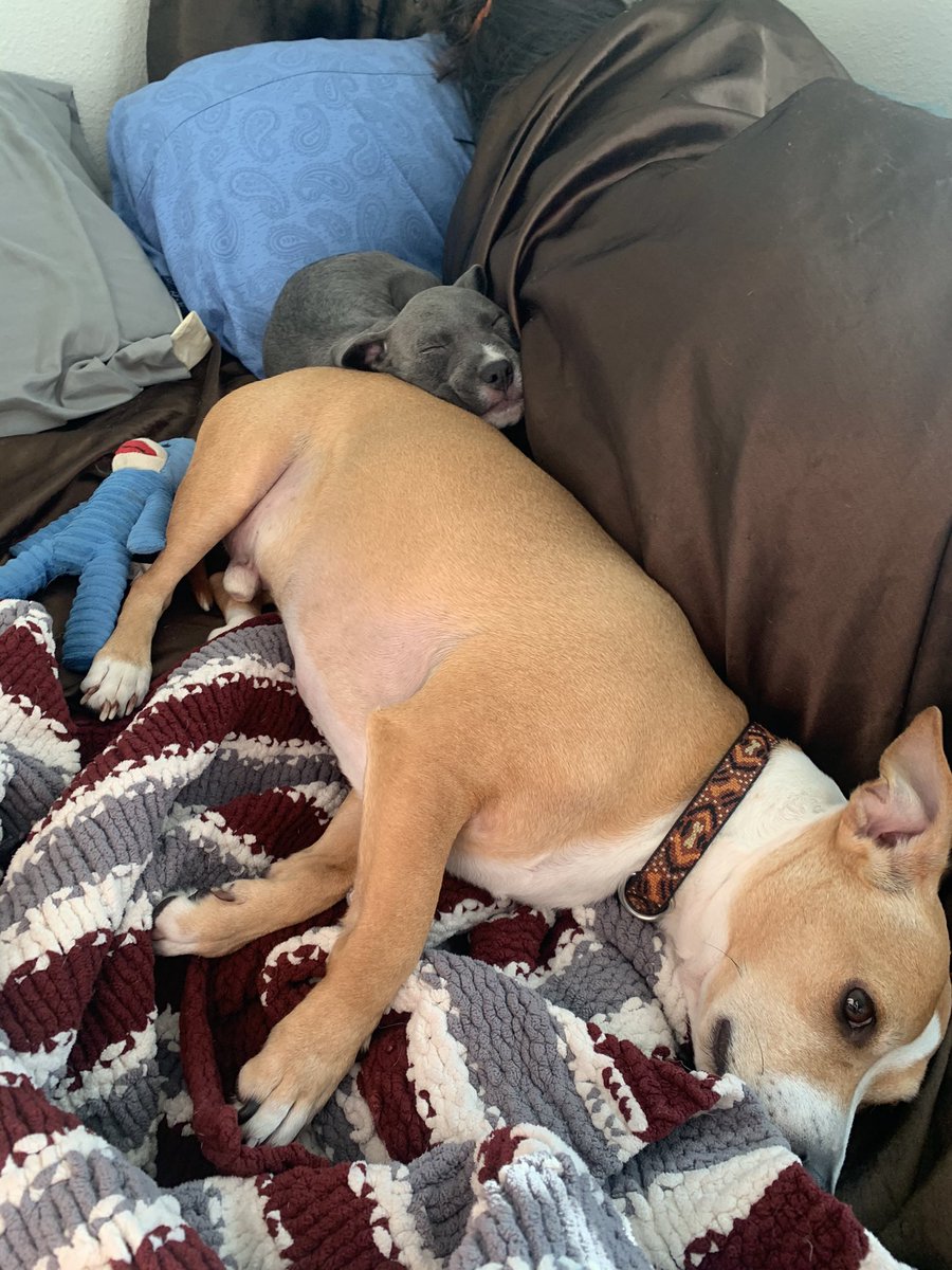 opusbae's tweet image. Have you EVER agjljfvbjg