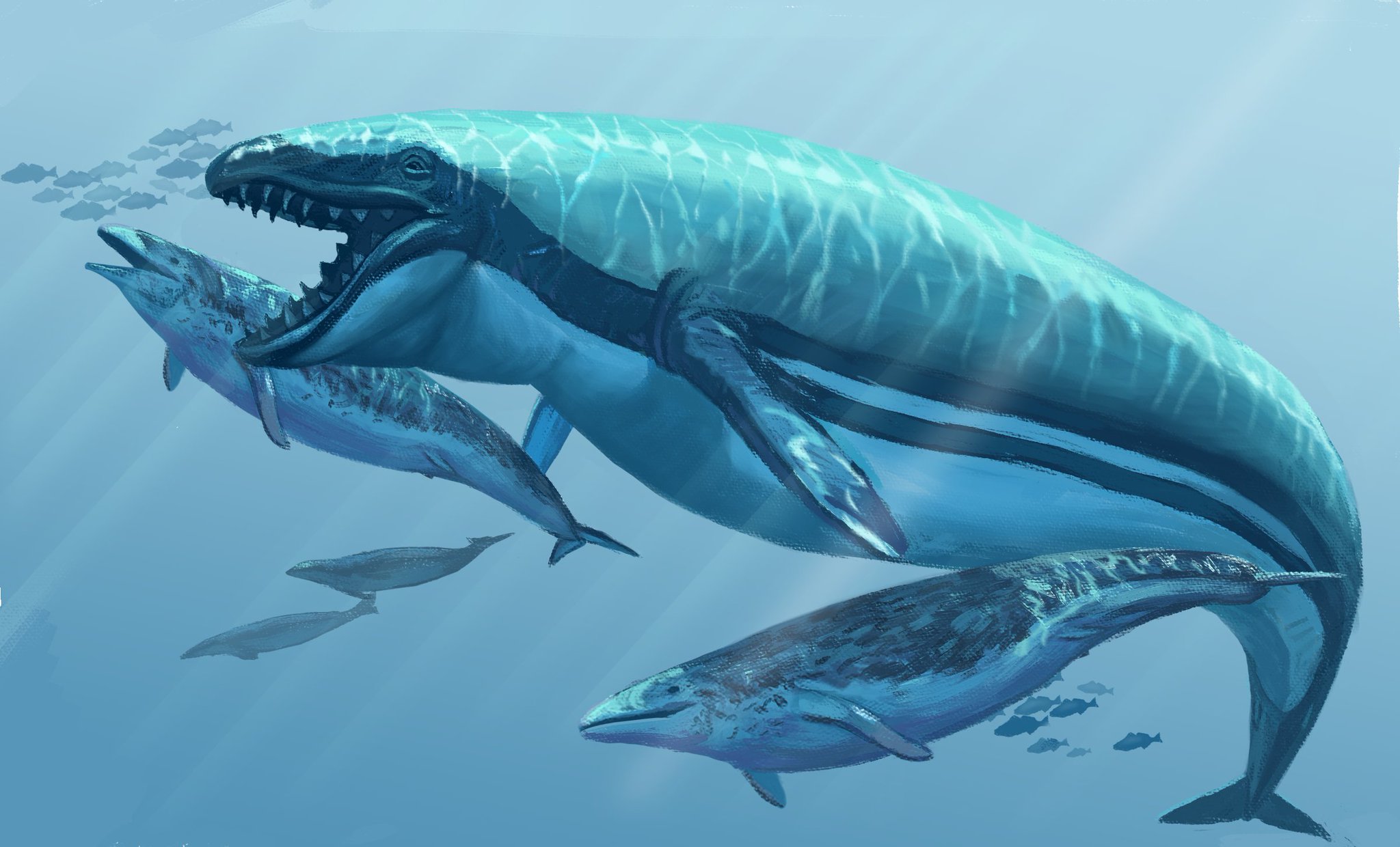 Somniosus insomnus on Twitter "Some aquatic things I've ever draw(new