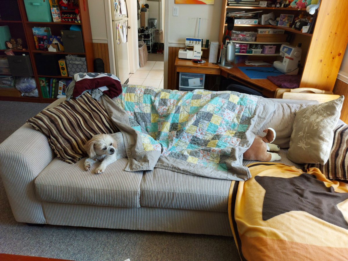 aniashes's tweet image. Long boy