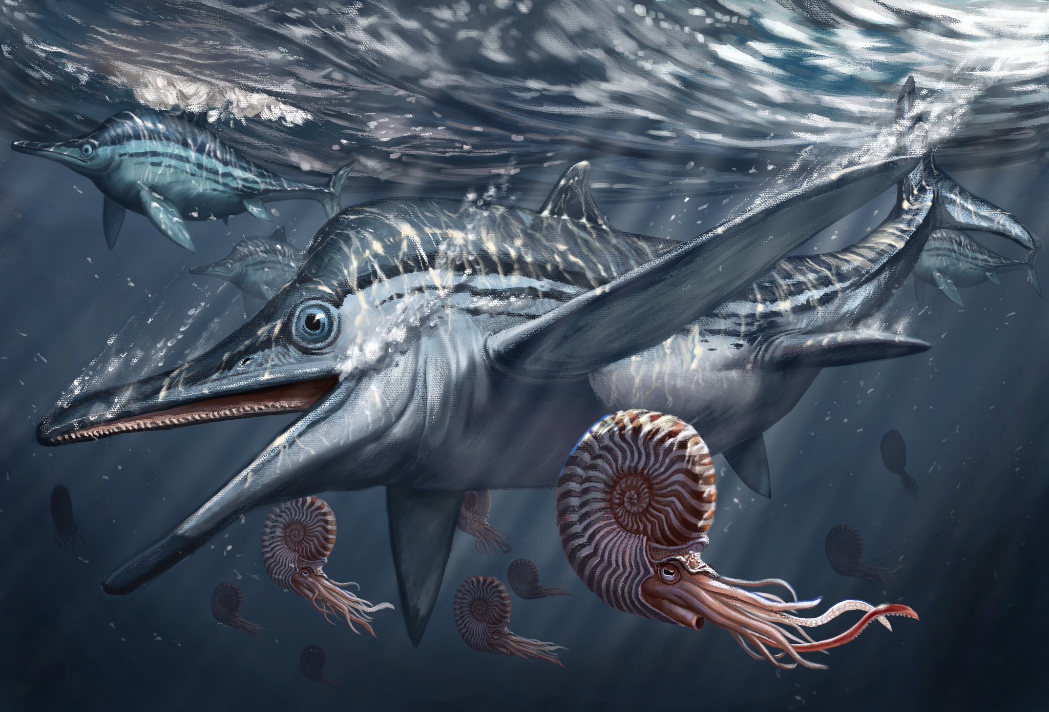 Somniosus insomnus on Twitter "Some aquatic things I've ever draw(new