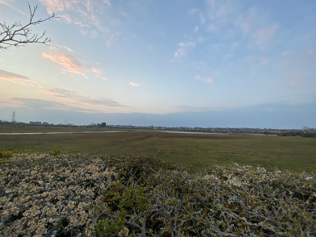 Becky Lakin (@birderbex) on Twitter photo 