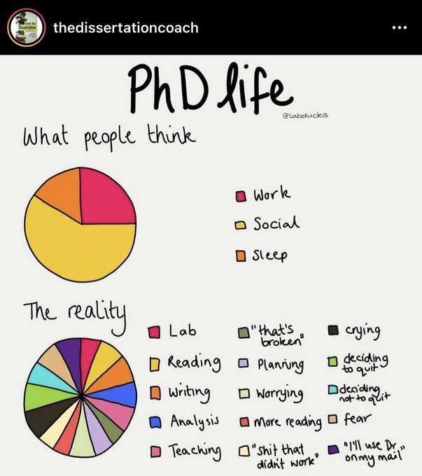 Happy Researchers tweet media