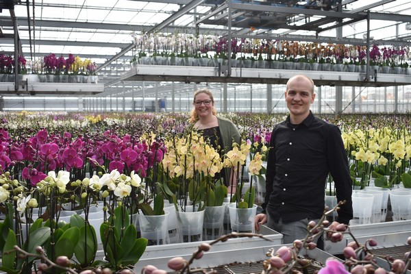 "We hebben ons vanaf het begin af aan al gericht op duurzaamheid" <a href="/StolkFlora/">Stolk Flora - Your Natural Orchid</a>
bpnieuws.nl/article/930922…