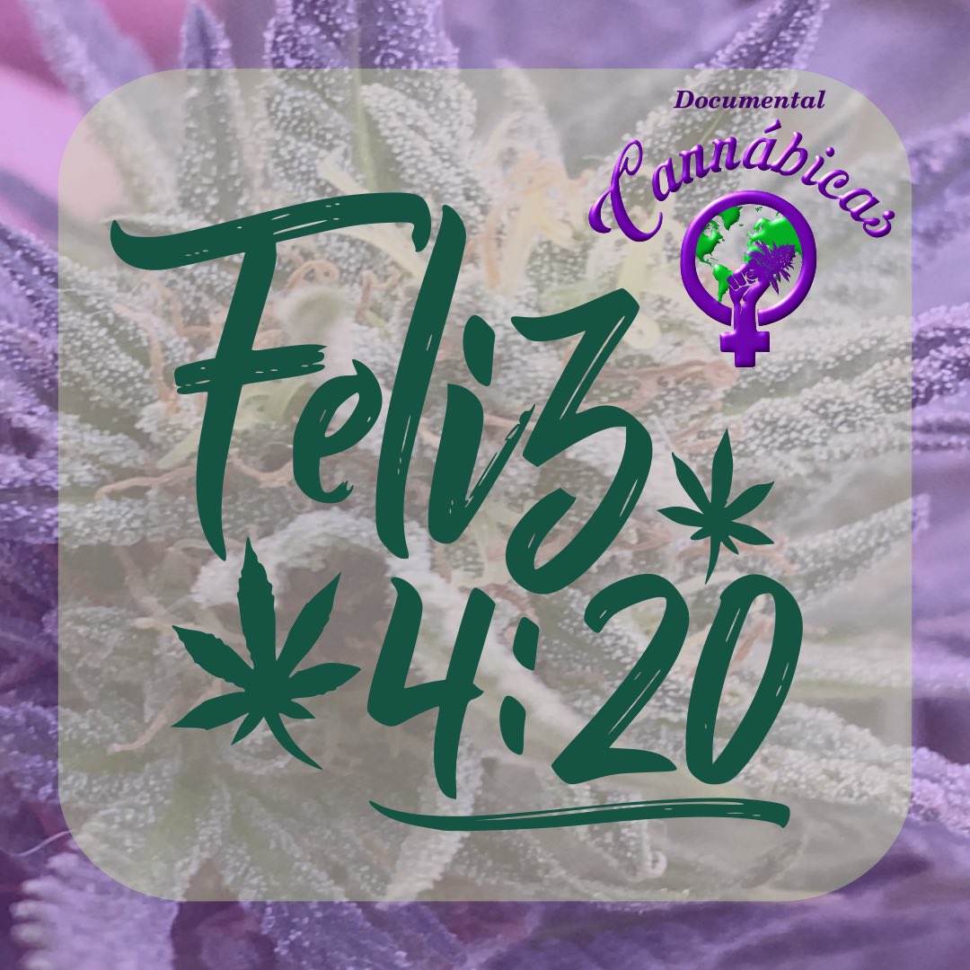 #Feliz420 🎊🍀
.
Saludamos a toda la #ComunidadCannabica en este día tan emblemático para la #CulturaCannabica , en especial a las #MujeresCannabicas alrededor del mundo, que luchan diariamente por la reivindicación de la planta y sus derechos 🤘🏽💜💚