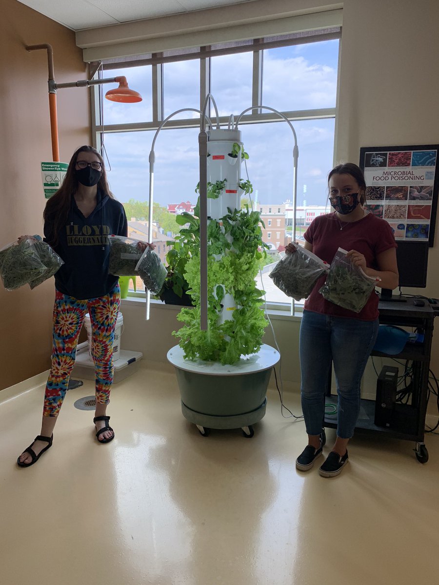 shyratedesco71's tweet photo. First harvest of the season!  Ivy Tech Lawrenceburg Biology service learning students gleaned 5 pounds of nutritious and delicious greens for the food pantry. https://t.co/kFr5mLuStp