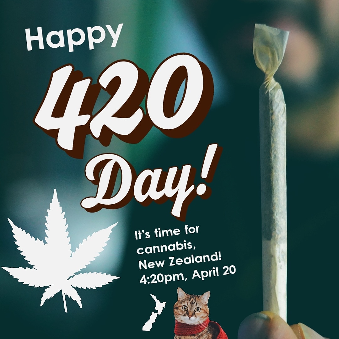 NORML New Zealand (@normlnz) on Twitter photo 