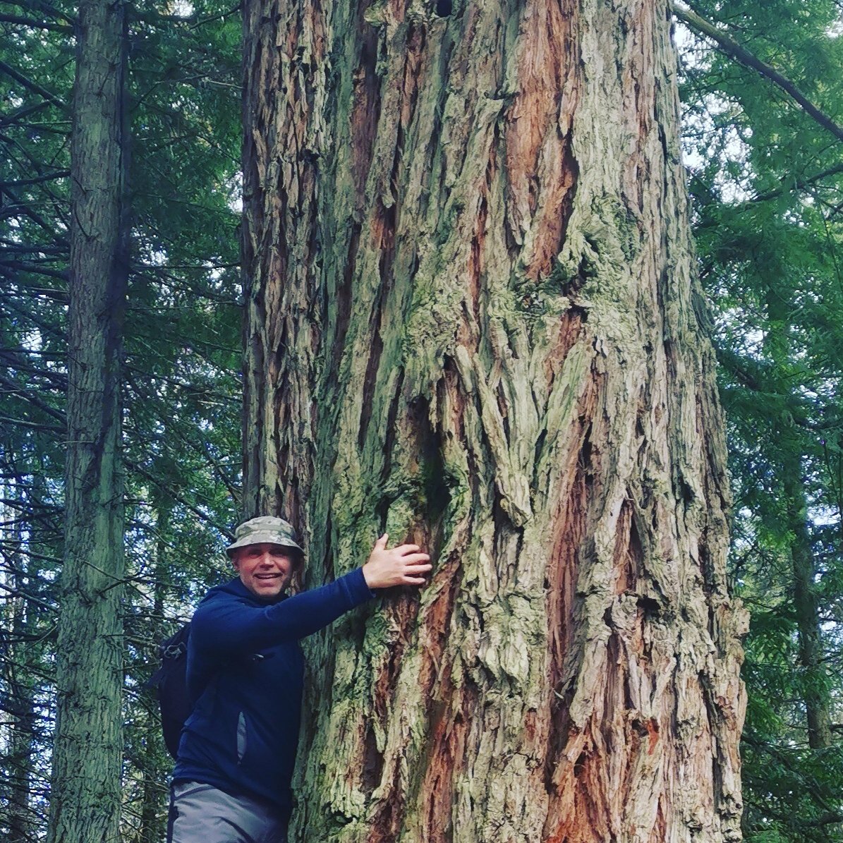 PhilPass187's tweet photo. Who'd have known, Red cedar trees in Brechfa.
Time to chill and take a moment off 👍
@SteveSpeirs4
@JuliaBradbury
@Ruth_ITV
@SianWeather
@joetracini
@lucyowenwales
@chris_kammy
@ThisisDavina
@MarieCurieCymru
@macmillancancer
@ProstateUK https://t.co/g9Arb3zcxg