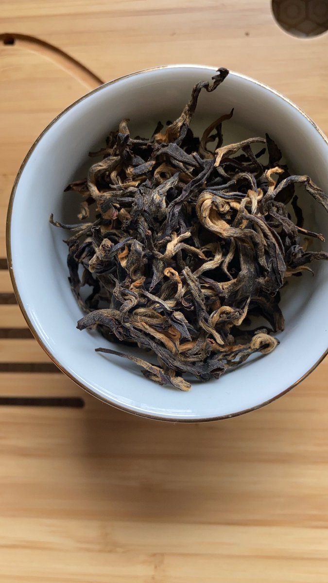 steepsiprepeat's tweet image. Golden Tips (@TeaPractitioner) in my gaiwan this afternoon!