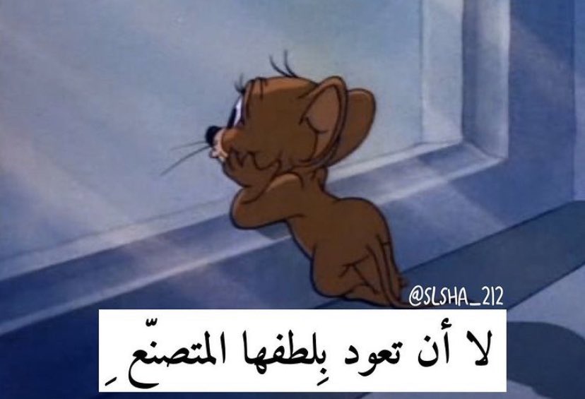 رياكشنات توم وجيري tweet media