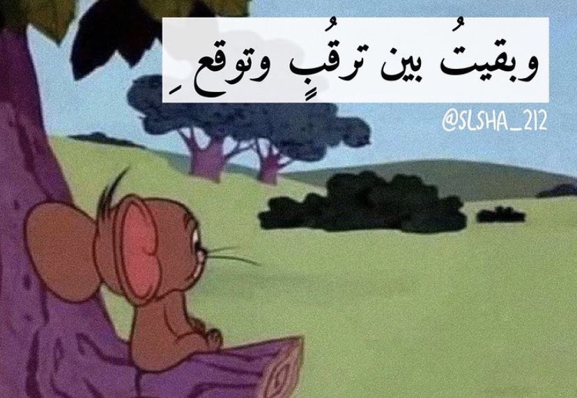 رياكشنات توم وجيري tweet media