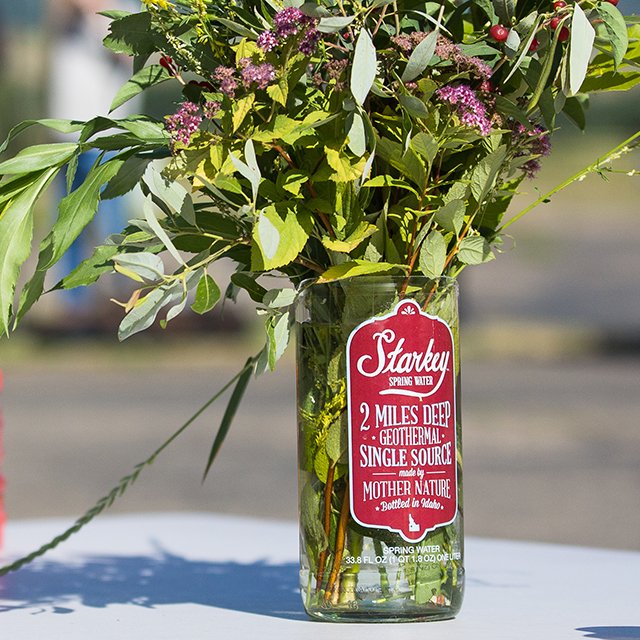StarkeyWaterCo's tweet photo. Is your garden in bloom? Harness the beauty of the season and upcycle your glass Starkey bottles into a vase for your beautiful spring florals. Share a pic of your favorite spring arrangement styled in Starkey and tag us! https://t.co/AeC2Ggf5e8