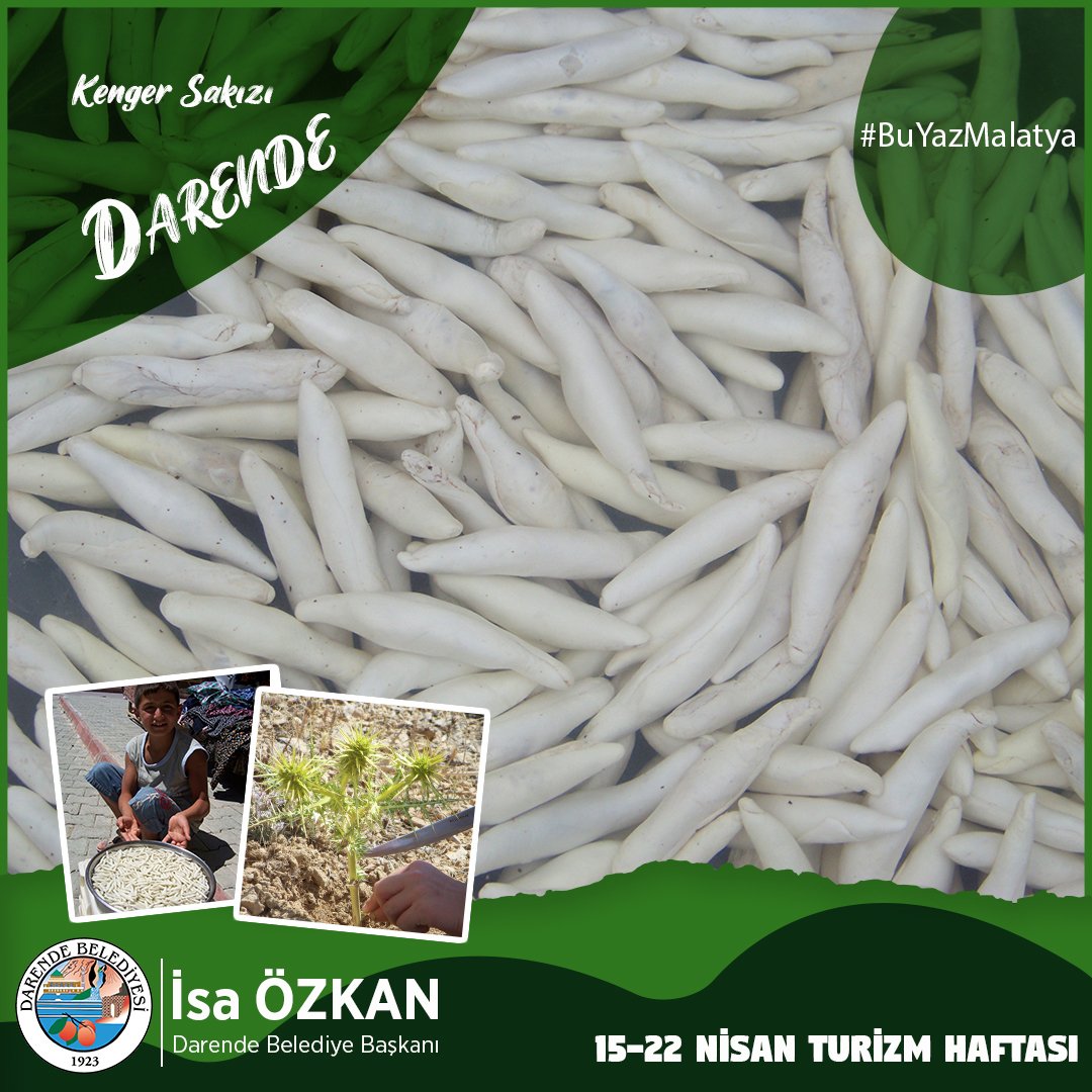 Sadece Kayısının değil Kenger sakızının başkenti güzel ilçemiz Darende'ye bekleriz... #BuyazMalatya